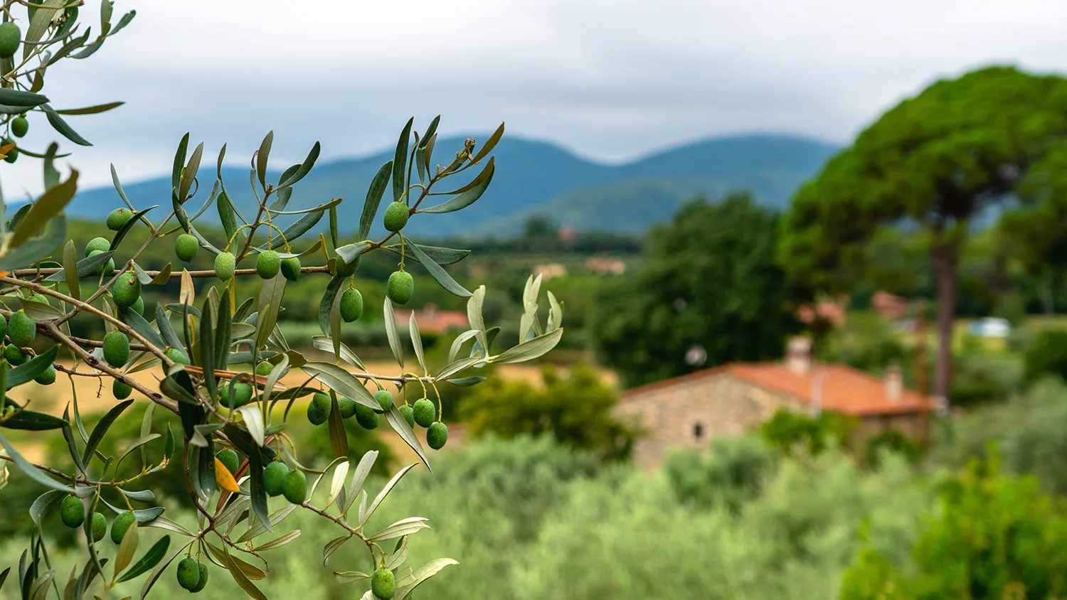 Image for Il nostro territorio